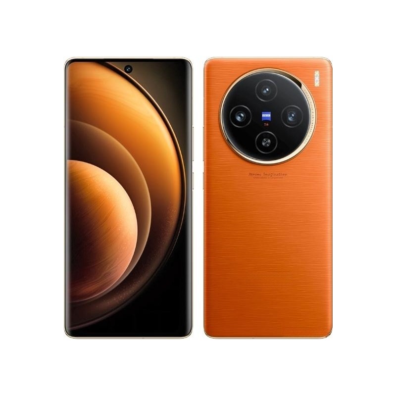 Vivo X100
