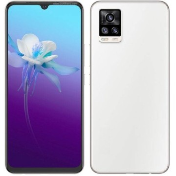 Vivo V20